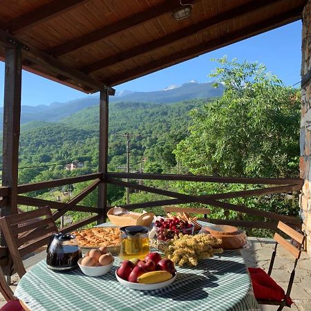 Stonehouse 2 Bedroom Chalet On Olympus Amazing View Pétra المظهر الخارجي الصورة