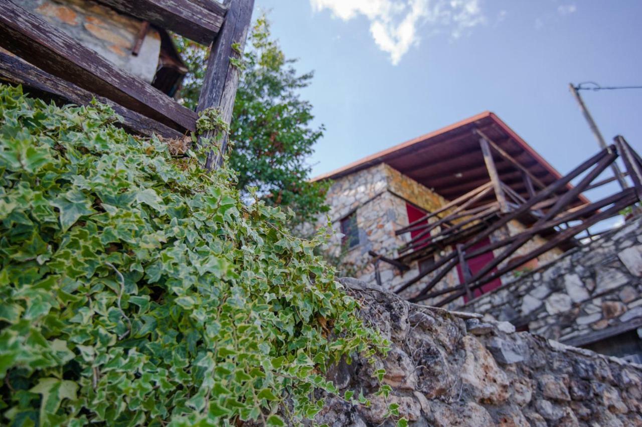 Stonehouse 2 Bedroom Chalet On Olympus Amazing View Pétra المظهر الخارجي الصورة