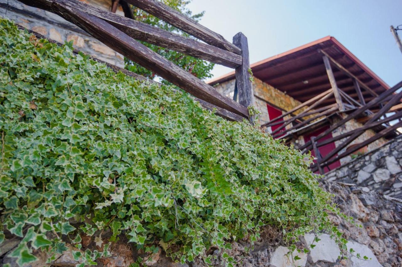 Stonehouse 2 Bedroom Chalet On Olympus Amazing View Pétra المظهر الخارجي الصورة