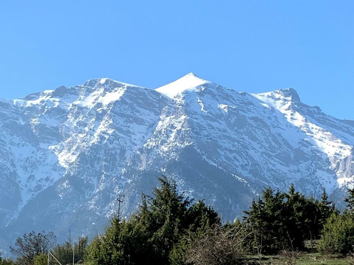 Stonehouse 2 Bedroom Chalet On Olympus Amazing View Pétra المظهر الخارجي الصورة
